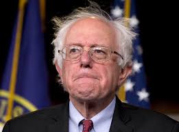 Image result for bernie sanders