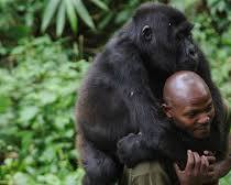 Virunga National Park, Democratic Republic of Congo