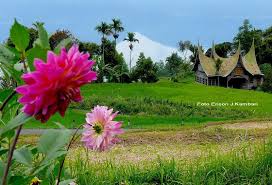 Hasil gambar untuk keindahan tikungan 44