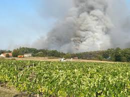 News source: Charente Libre