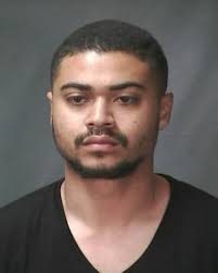 View full sizeLuis Gutierrez. LANSING -- A 26-year-old Lansing man faces a criminal charge after police say he damaged property at the state Capitol and ... - luis-lauro-gutierrez-lansingjpg-5820921db27f7f0a