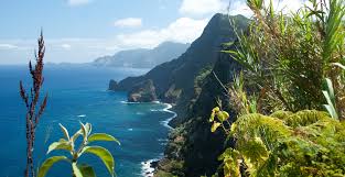 Risultati immagini per madeira