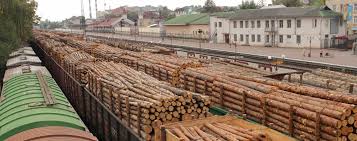 images?q=tbn:ANd9GcSQgNlZFbqAg4tYTWFRLsw