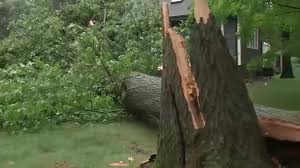 More than 20 rescued as storms flood roads, topple trees and damage homes across New Jersey