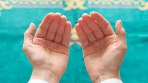 صدى البلد - News update