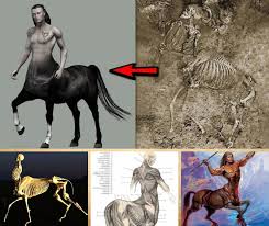 Scientists found a half-human, half-animal mummy with long hair, less than 12cm tall