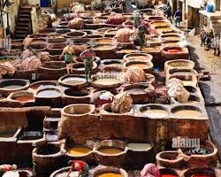 Image de Souk des Cuirs, Fes