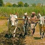 After Dalit Activist's Suicide, Gujarat