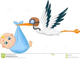 Resultado de imagem para cegonha feliz