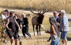 Estes Park News - News update