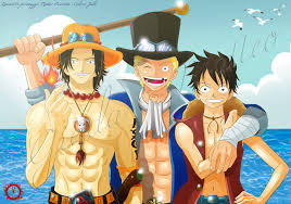 Image result for one piece