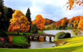 Image result for beautiful scenery