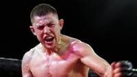 Albuquerque Journal - News update
