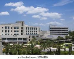 Image of hospital with a palm tree
