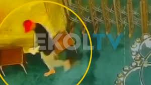 Yeni Şafak - News update