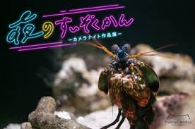 デジカメ Watch - News update