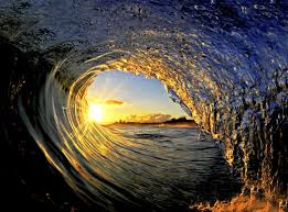 Resultado de imagem para surf imagens
