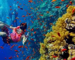 Image of Nungwi Beach snorkeling
