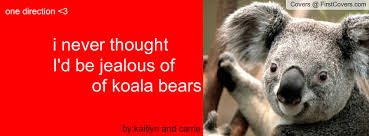 Koala Bear Facebook Covers - FirstCovers.com via Relatably.com