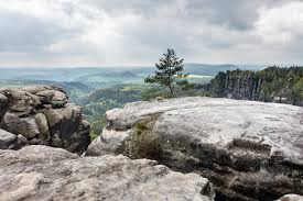 Picture of Frienstein