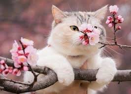 погода на місяць