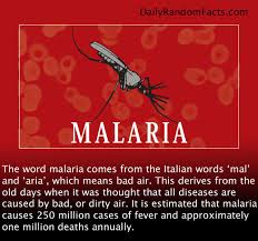 Supreme 21 well-known quotes about malaria wall paper French ... via Relatably.com