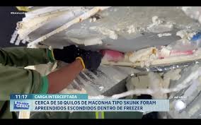 Cerca de 50 quilos de maconha tipo skunk foram apreendidos escondidos dentro de freezer