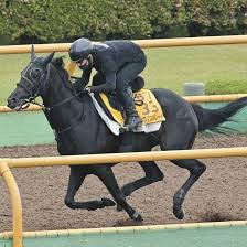 中日新聞Web - News update