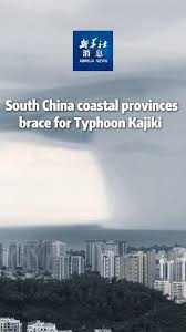 Xinhua - News update