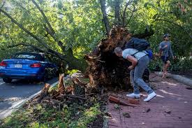 Intense overnight storm knocks out power, downs trees in D.C. area