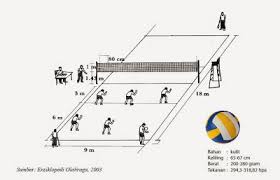 Image result for gambar permainan bola voli di indonesia