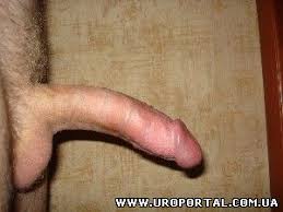 images?q=tbn:ANd9GcSScAr4IvdnBeP7q4Dp39I