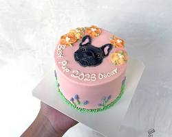 various custommade pet cakesの画像