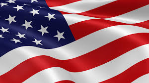Image result for us flag