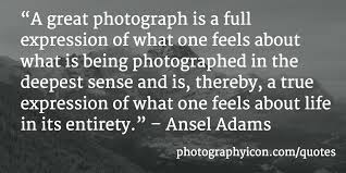 153 Fantastic Photography Quotes | Icon Photography School via Relatably.com