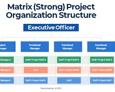 Image of confused person looking at a corporate organizational chart