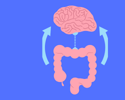 Εικόνα Brain and Gut Connection