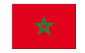 Résultat de recherche d'images pour "les drapeaux de maroc"