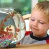 Story image for Best Pet Supplies Fish Supplies Aquarium Gravel Substrates For Sale from Jacaranda FM
