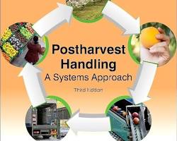 Image of Postharvest management