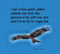 Eagle Quotes. QuotesGram via Relatably.com