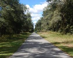 Image of Old Florida Citrus Trail biking trail