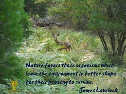 James Lovelock quote | Quotes | Pinterest via Relatably.com