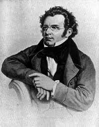 Franz Schubert&#39;s quotes, famous and not much - QuotationOf . COM via Relatably.com