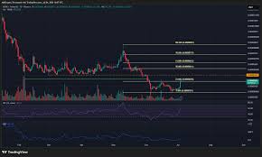 BONK Traders Anticipate 21%-46% Price Bounce Amid Short-Term Gains