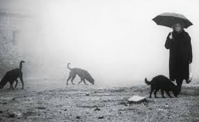 5 Lessons In Filmmaking From The Late Bela Tarr