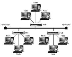 Hasil gambar untuk topologi tree