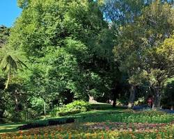 Immagine di Wellington Botanic Gardens