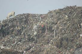 Image result for garbage  material transportation in india