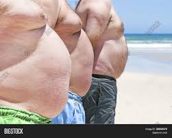 Resultado de imagem para gordos na praia